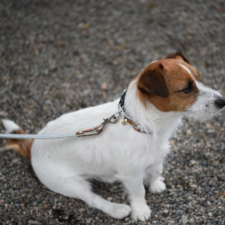 Baeee503 2c30 4e4f 89f5 5b50888fa690