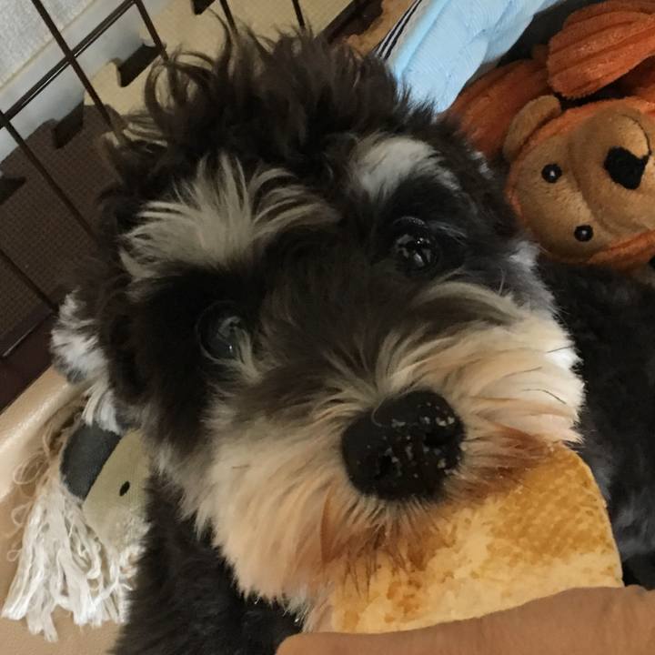 Baef390e 2c6f 4924 b72b 5a5d7c6d0742