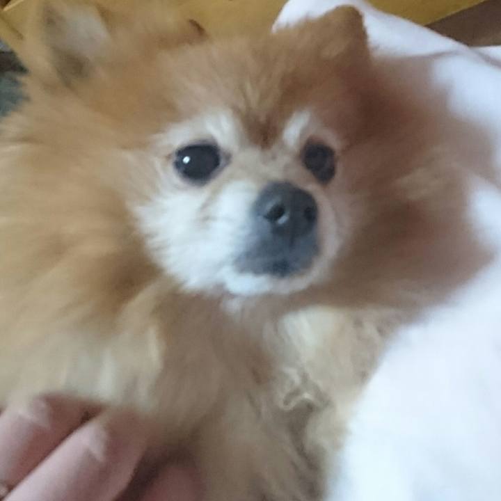 Baef4323 5831 40de b75f 603a37e5381a