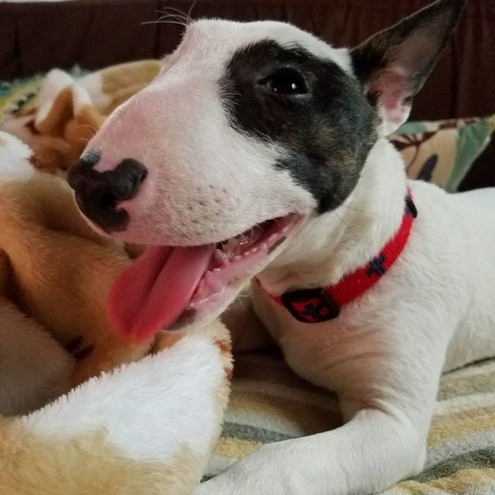 Baef98d6 df7e 40ff 9d2a 8f4801cdadfe