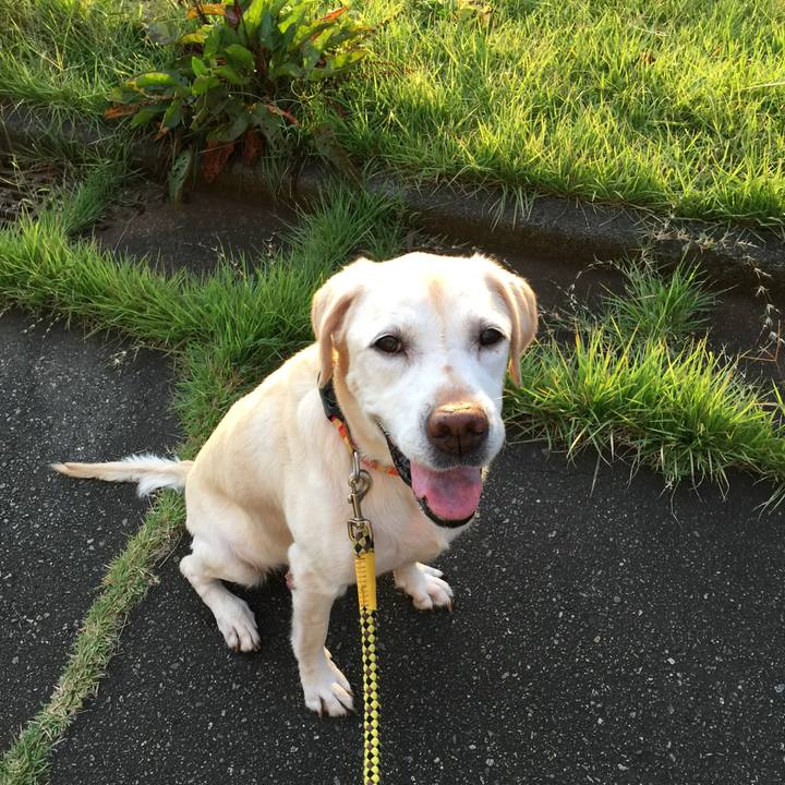 Baf05f16 48aa 4857 b10c 42725d278bac