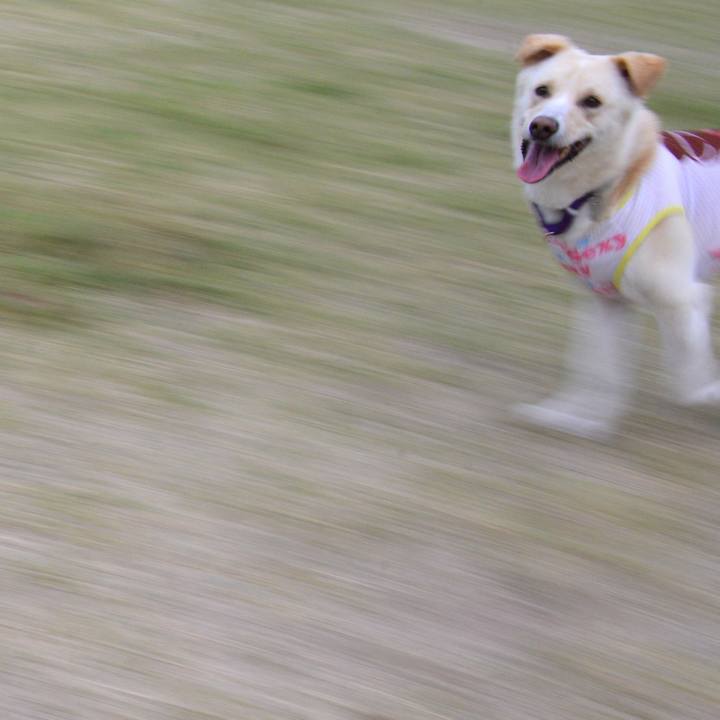 Baf0b7e4 3e07 4862 b166 7f3b9d528359