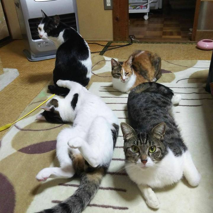 Baf16284 40d4 450d 8c89 1965b16a14f8