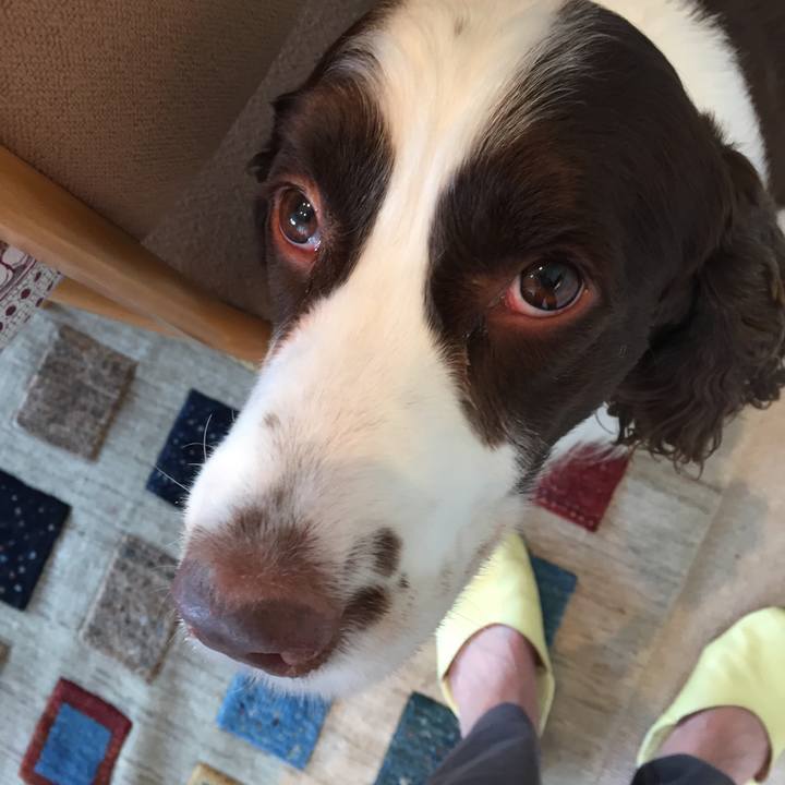 Baf227c4 4c20 4529 87ef 19f5d41d6f60