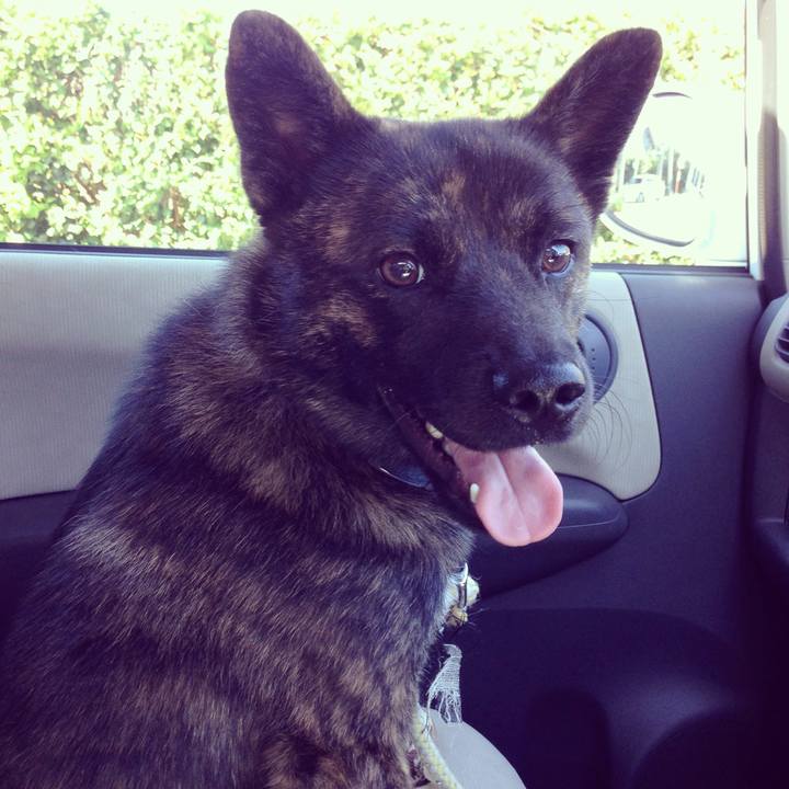 Baf265f6 4014 45fd 8ae7 585df1704f66