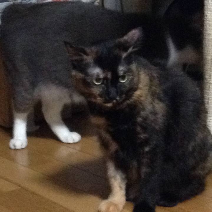 Baf273fe 7111 4f93 8841 5761dea3eaf6