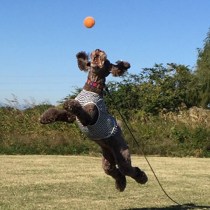 Baf307a3 010b 4ac5 a141 3f82bb278837