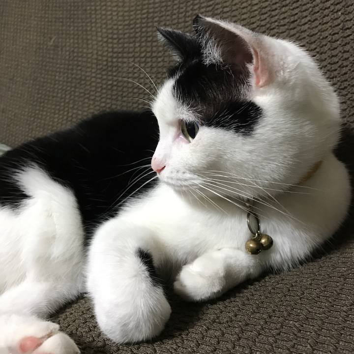 Baf33dea 2c75 45dd 9ff4 9d05d63d165e