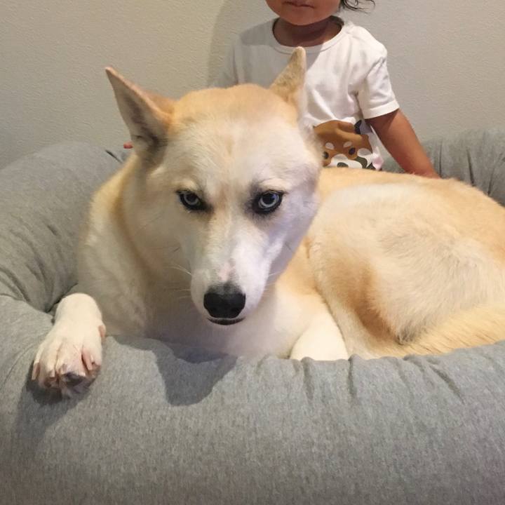 Baf361a4 50ab 4f08 b431 01e11250a6e4