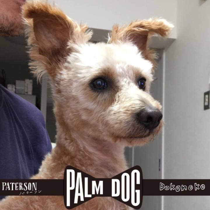 Baf39c60 9fea 4443 ba2e 06181236b5d2