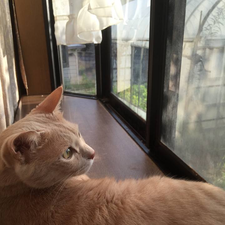 Baf4611a 217f 4617 9340 f8f6641072aa