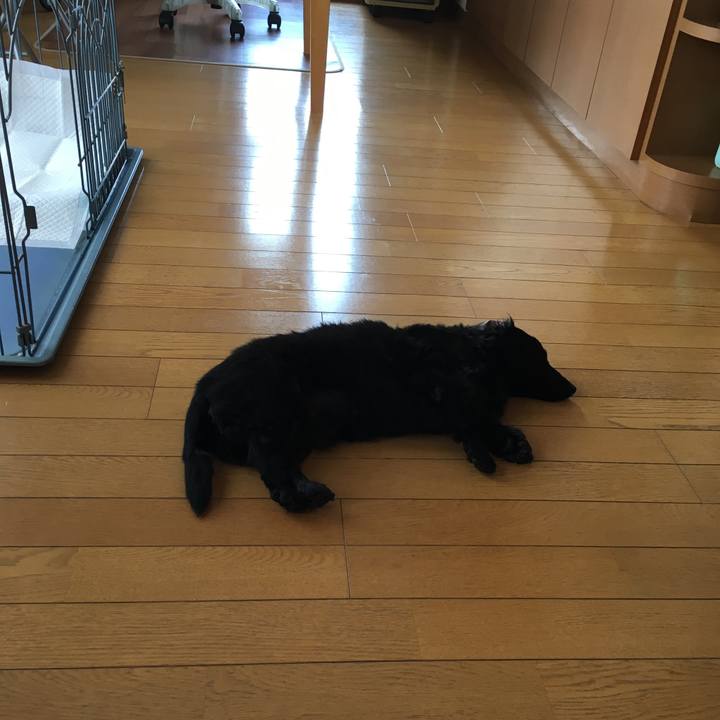 Baf61fed 659d 49ad b296 156563288e66