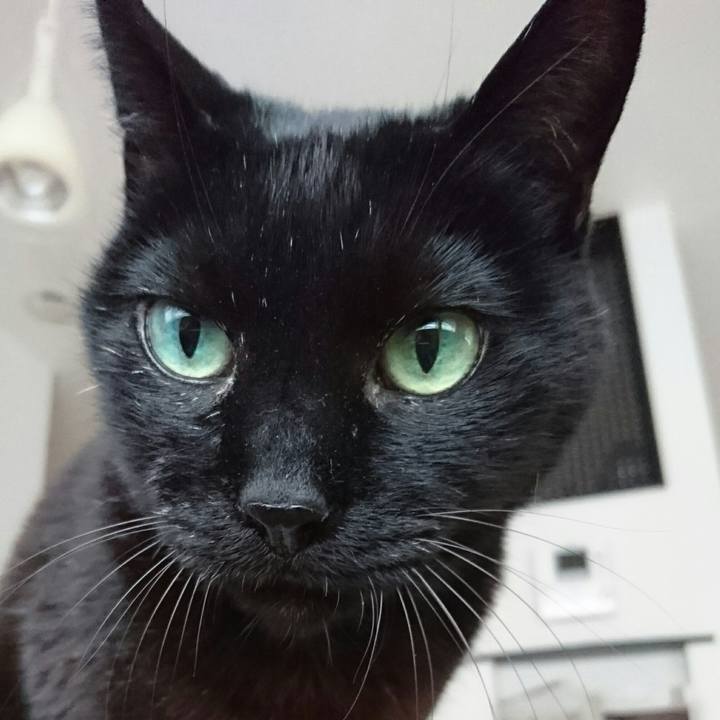 Baf63ccf 0e76 44d6 8711 4f73900db262