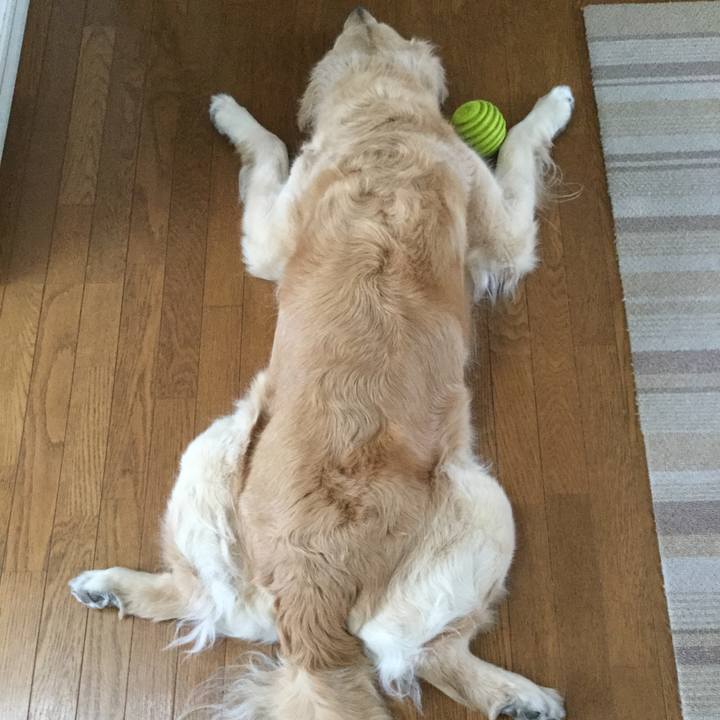 Baf6798c 506c 41b5 aff0 0deb0c8a3e00