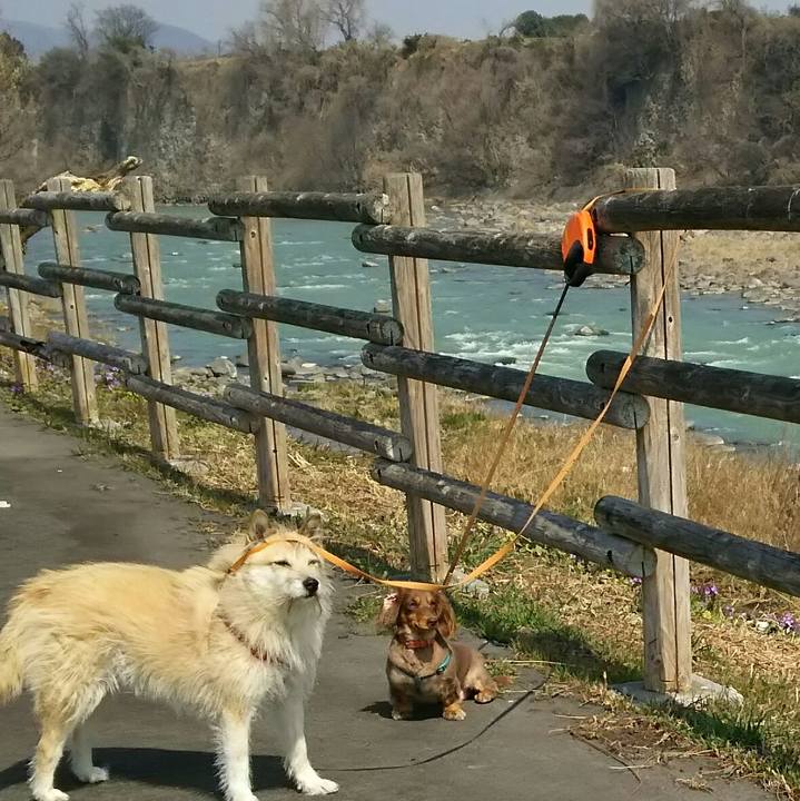 Baf70a17 3738 46a3 b25b 3fff607ac7ec