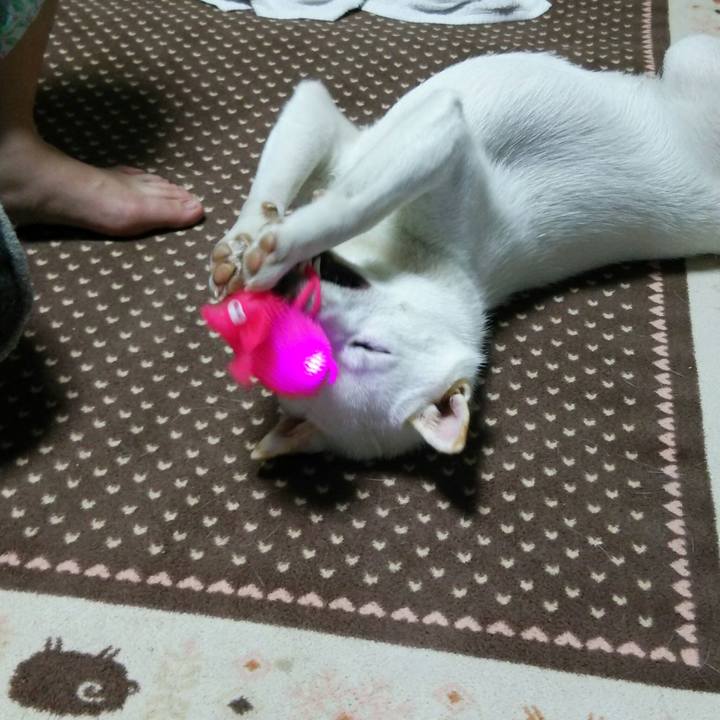 Baf7911f 6808 44d0 a158 d0fcb64cafed