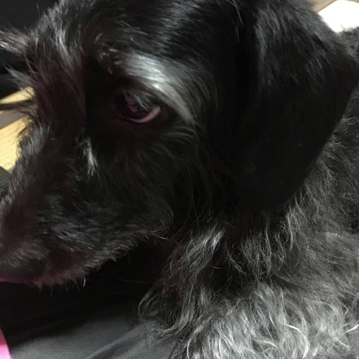 Baf7ab55 2a92 45b1 8cc8 04e19587ae6f