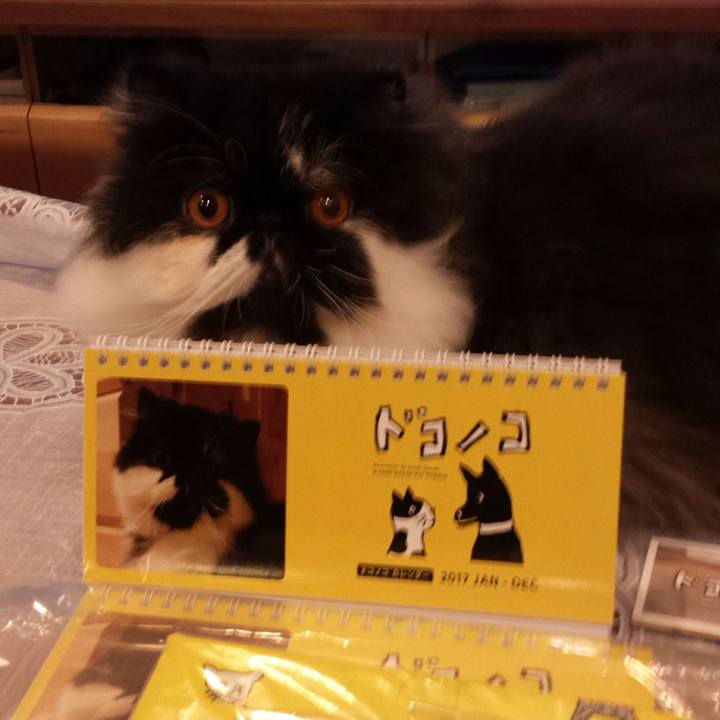 Baf7e950 4ada 4131 a284 1a76dec826eb