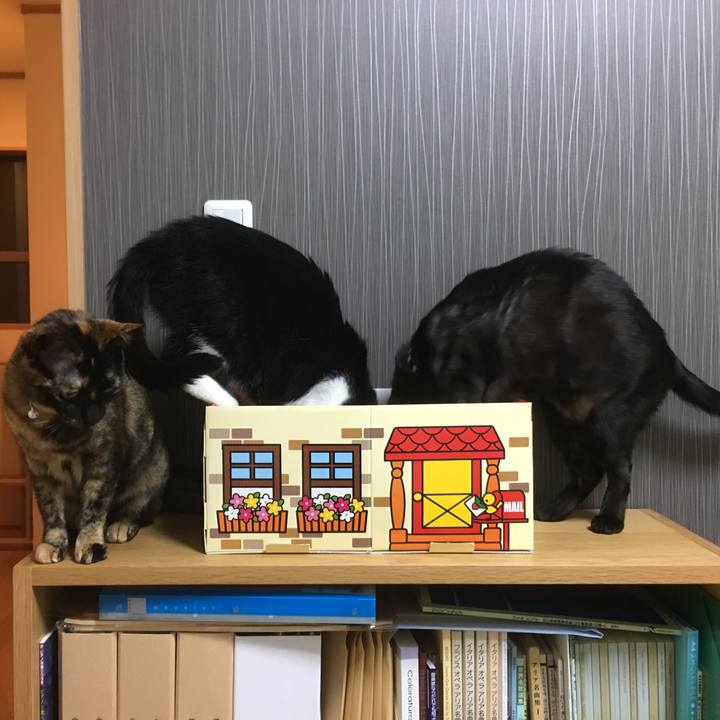 Baf82d78 3dad 4d17 8300 043b3186b6a8