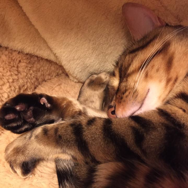 Baf9081f ae7e 476c bb26 9b4aeecca56e