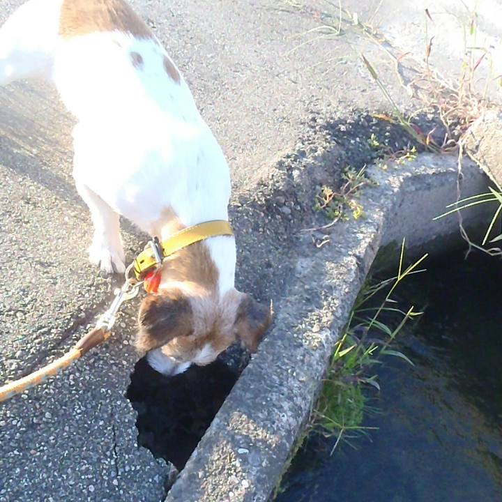 Bafa1865 cf0f 4d3f a433 1252c673faad