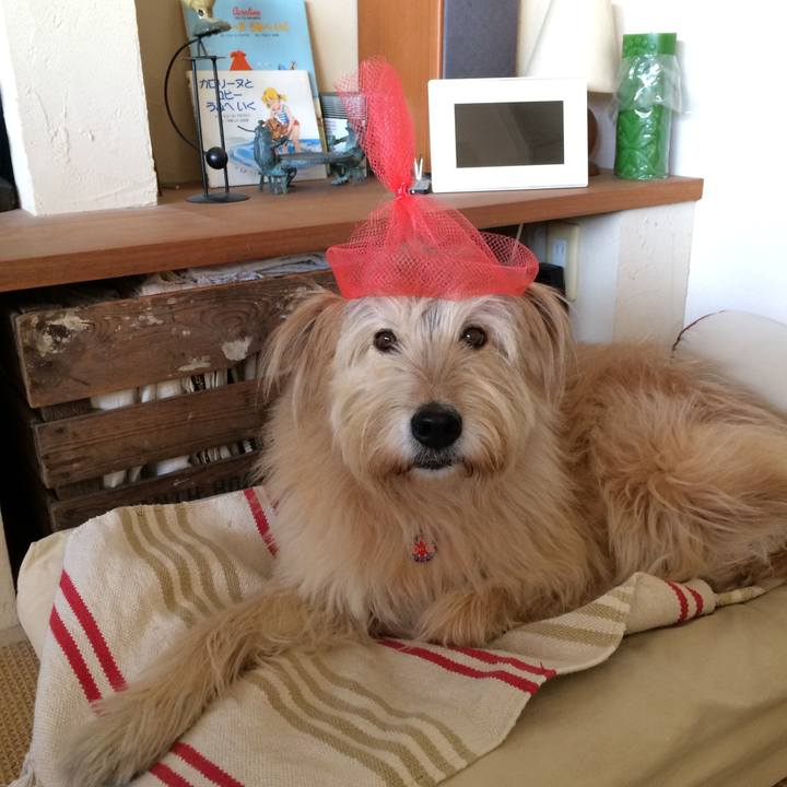 Bafa7d42 22ca 4ac3 8eb6 c6fd419aee2c