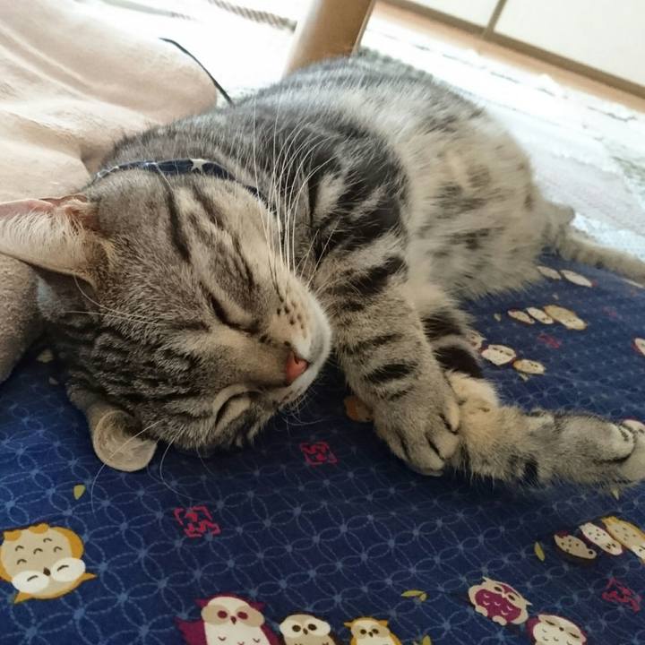 Bafac188 bb27 4e93 bcf5 3824b28136fa