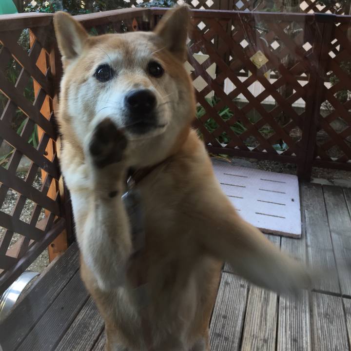 Bafb1a63 28b5 4776 8b72 f16d61523c49