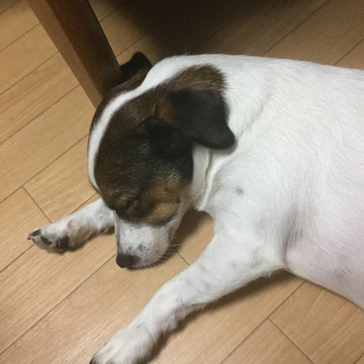 Bafb2696 cc66 41b6 a530 64622d6245f2