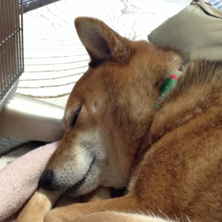 Bafb6a41 6796 4876 98b3 f8d8c088685d