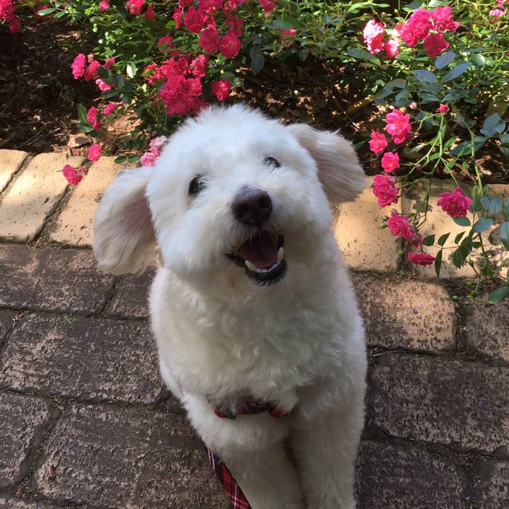 Bafc5d7f 259c 4b49 8c5a 3bdec895e8a3