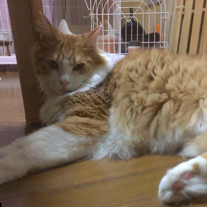 Bafca90d dbb2 42e3 a15f e79d9d6d1c1b