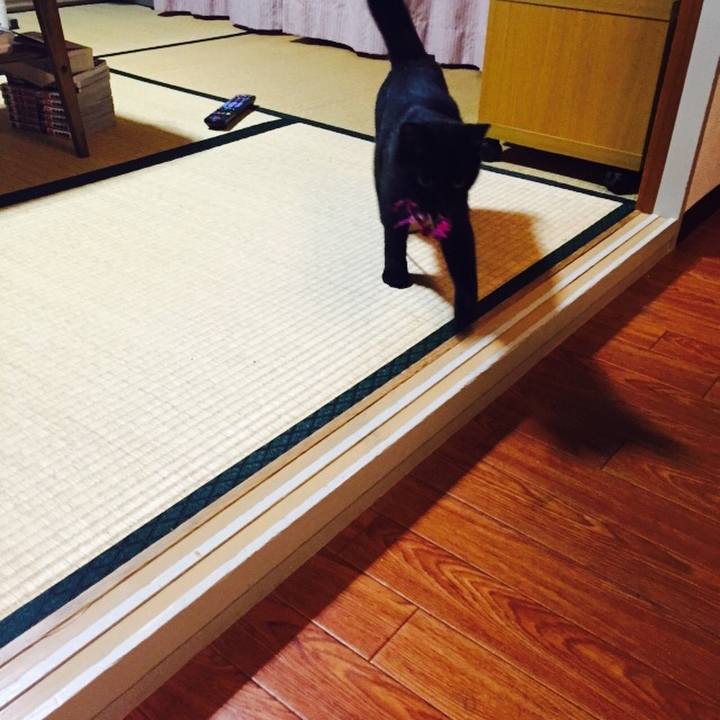 Bafcb3cd cc88 404b b471 12078ec590cc