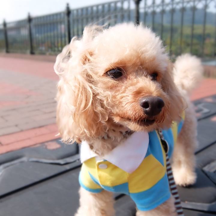 Bafd1960 1b37 4703 9456 24a215a88fe1