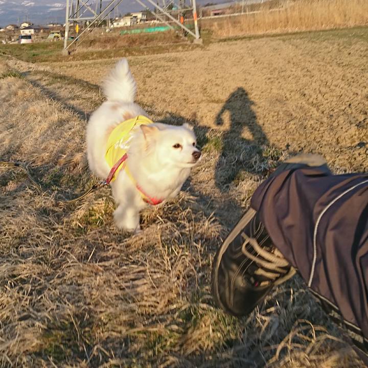 Bafdd9b5 c382 4f24 a92c 4424870836bb