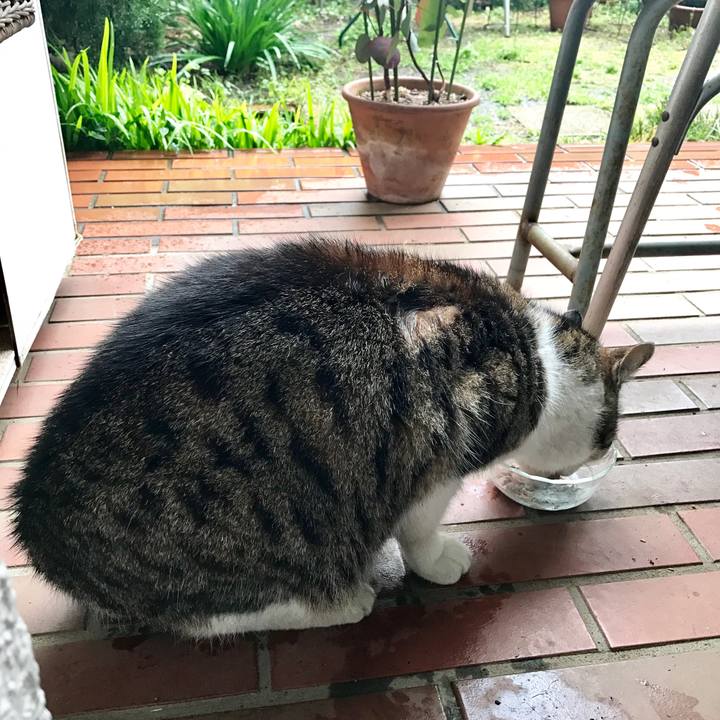 Bafe5253 982b 41ec ac53 74994fb87199