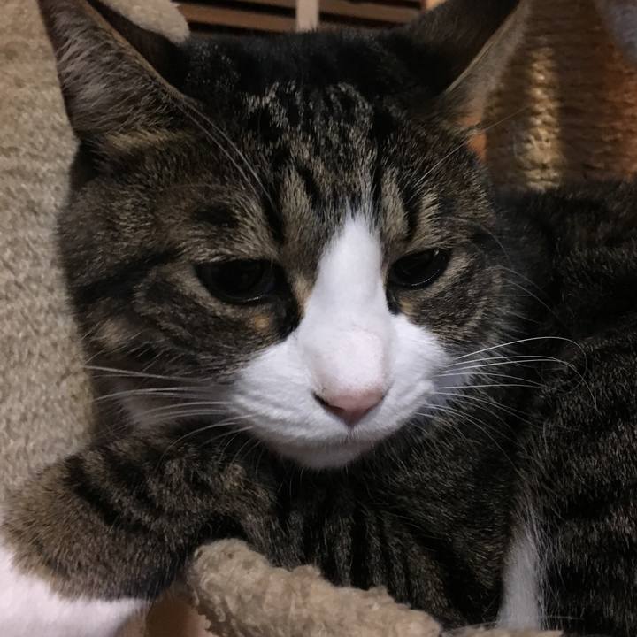 Bafe8bec d5cf 46ff 910e b2d27d0f56c9