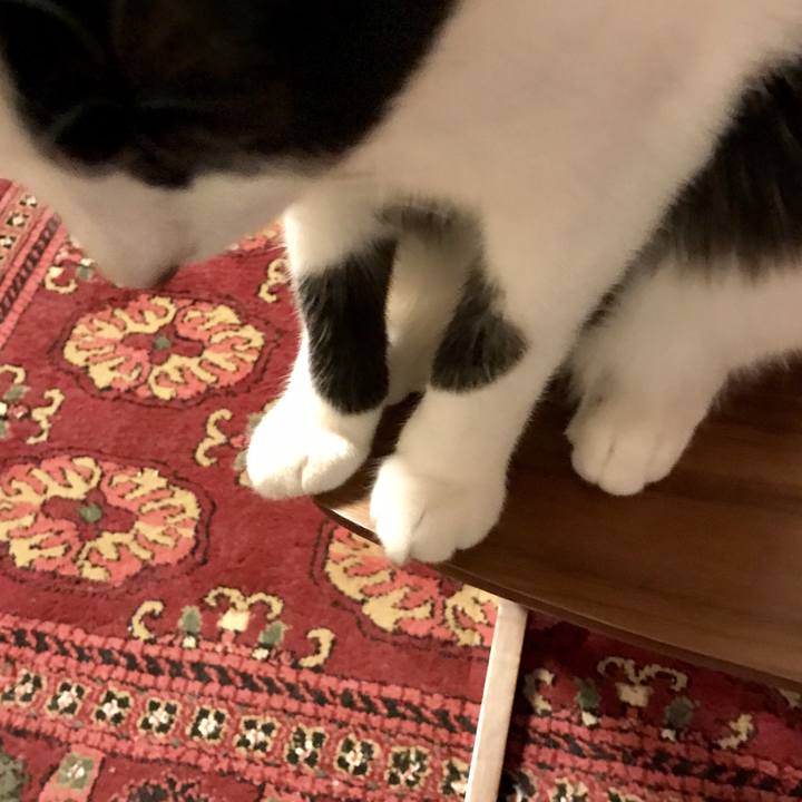 Bb004fab 7c9e 48e4 8a45 c2057bfc6664