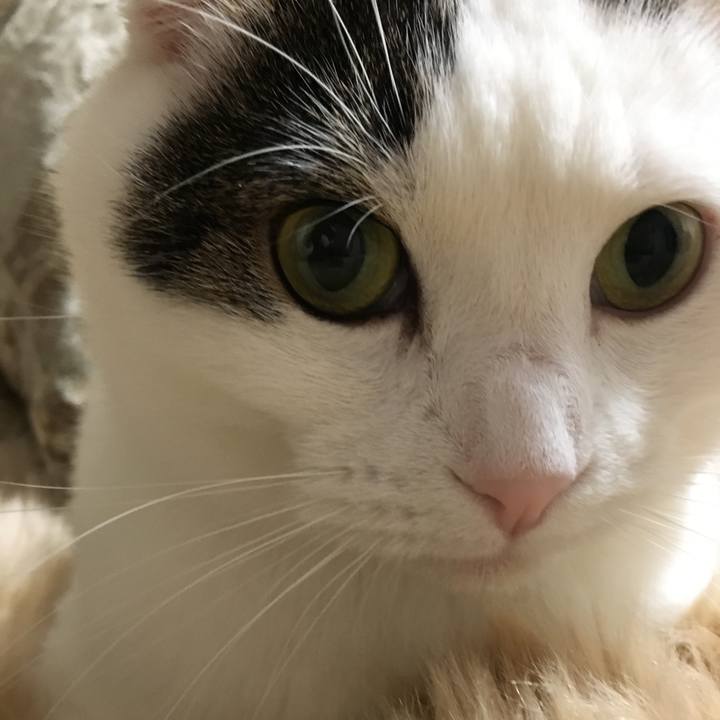 Bb00b0dc b068 4966 b949 c2f1c2f0fe0f