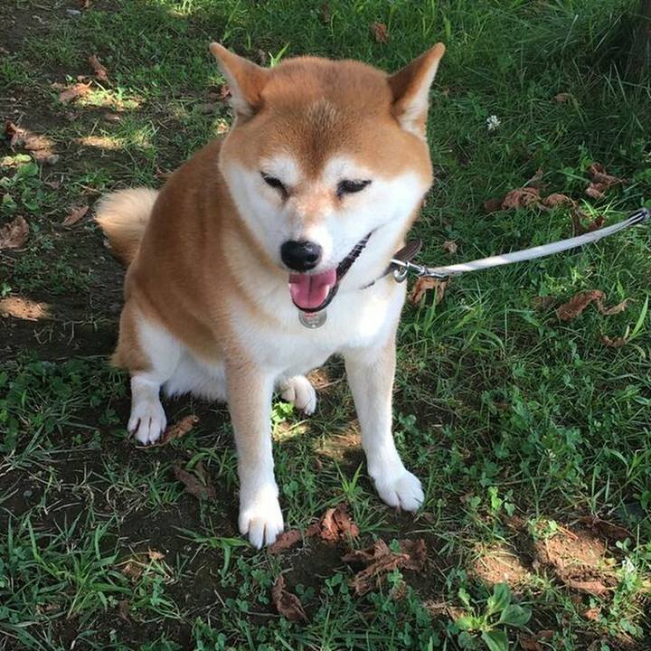 Bb00b77f 8391 4c94 b53a 7e16f87f201e