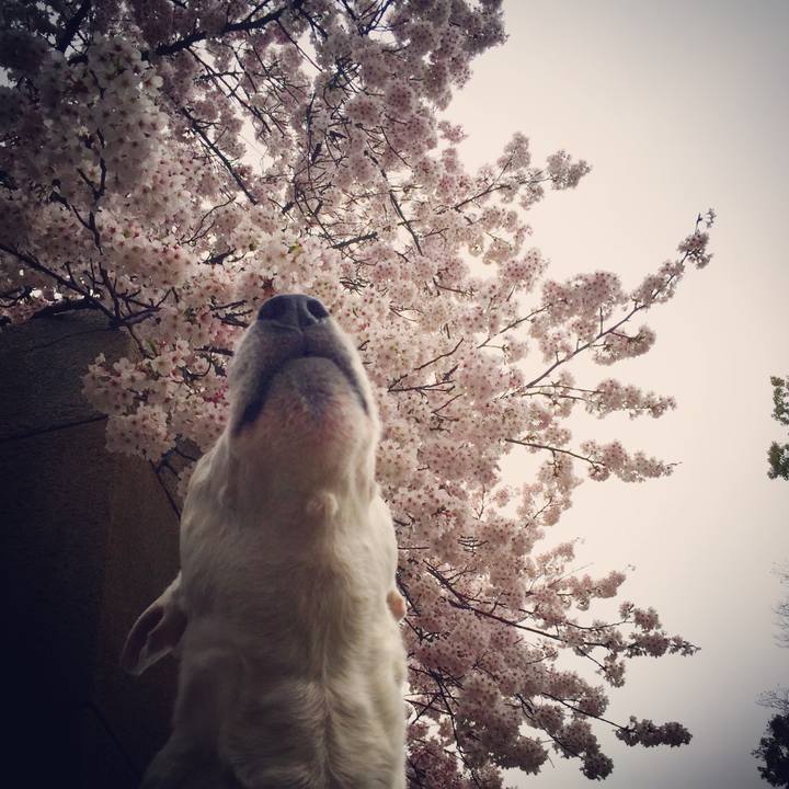 Bb00dab1 17fd 40a2 8bdc b041bc8017ed