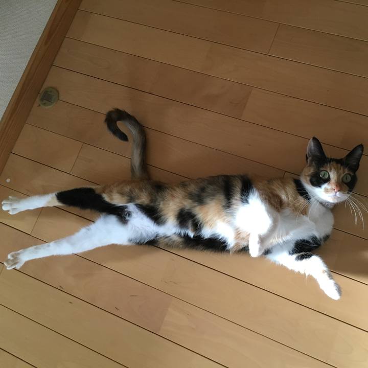 Bb00e378 3ca6 481b 97ae 1a13de426f78