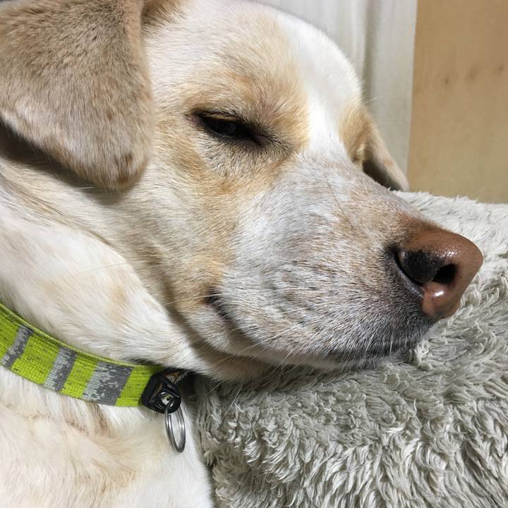 Bb01226a df23 4d50 a469 bf305a75a3d2