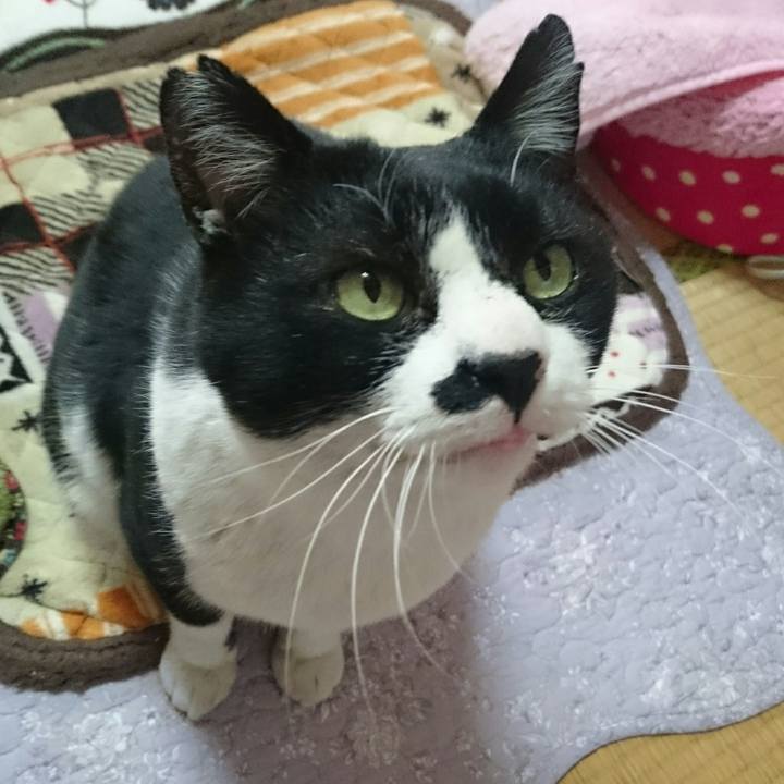 Bb01adda f9a4 4ba5 ba70 6db25726bd1a