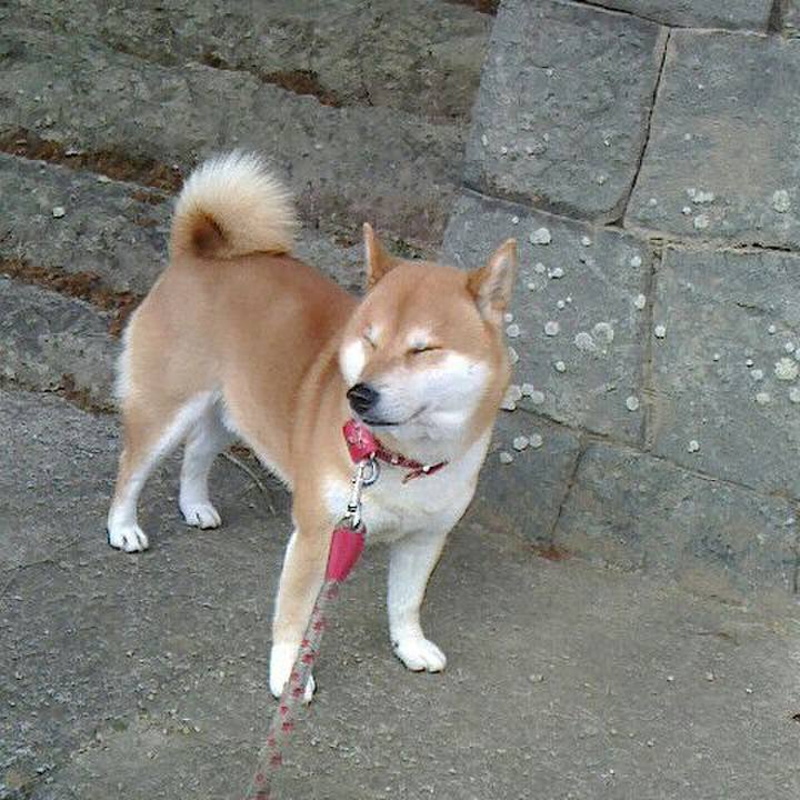 Bb01cdaa 0bde 42b3 a9db 841e2a27d393