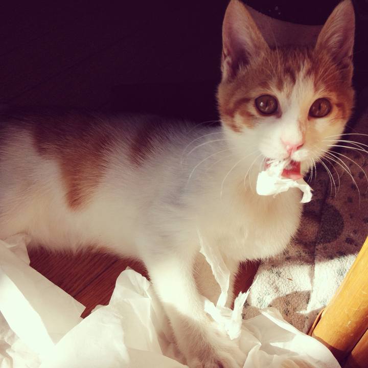 Bb024c17 d974 430b b1e0 aa3c345974f8