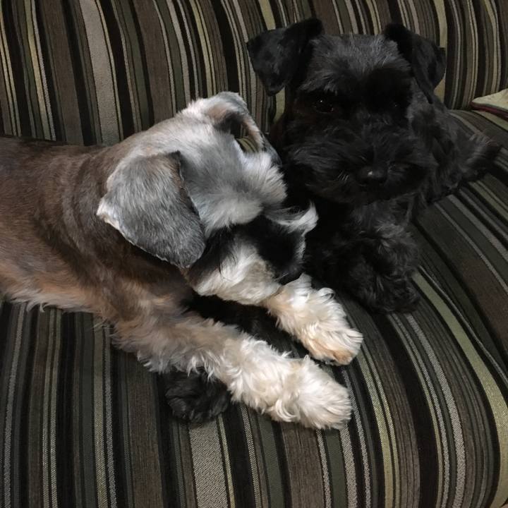 Bb025f2c be44 48e4 bad4 468dd7a37707