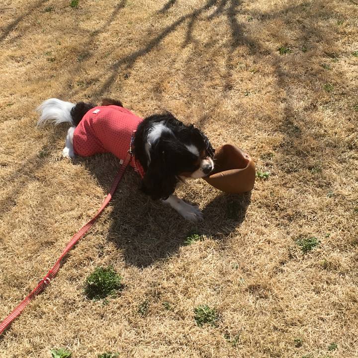 Bb029f30 4e14 4021 b9af f8549fedc901