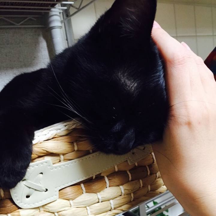 Bb02bd75 e6d7 4a67 8f0a 7a368d53197e