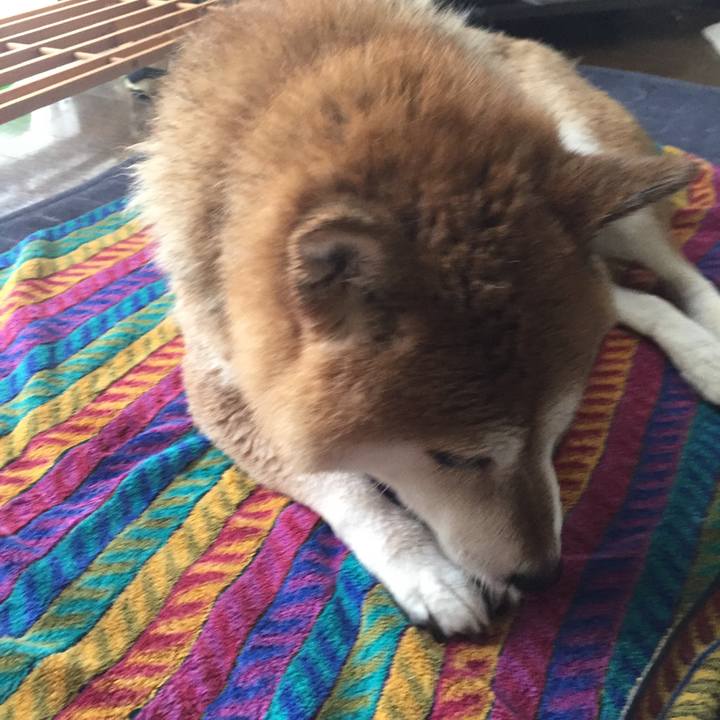 Bb02e33c 4dc2 4093 800f c80cec4c8cf3